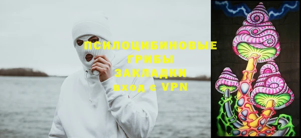 бошки Волоколамск