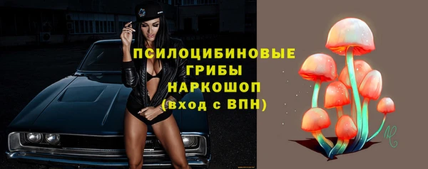 бошки Волоколамск