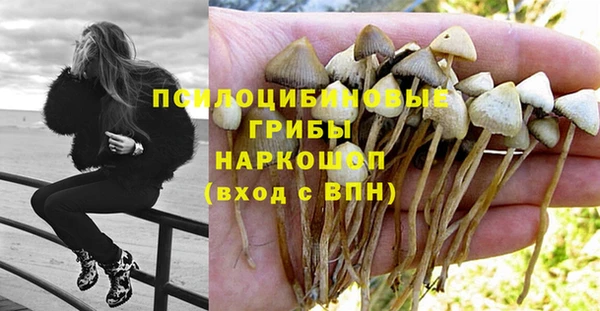 ECSTASY Волосово