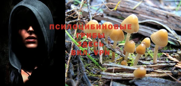 бошки Волоколамск
