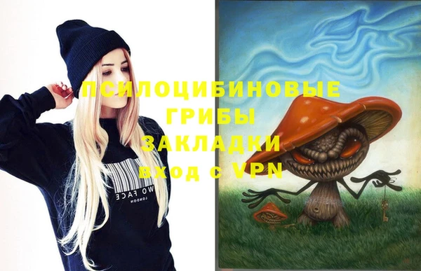 бошки Волоколамск